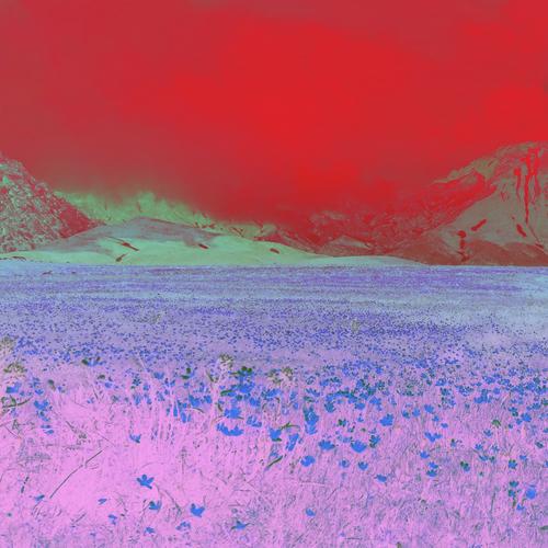 Without A Care cover art