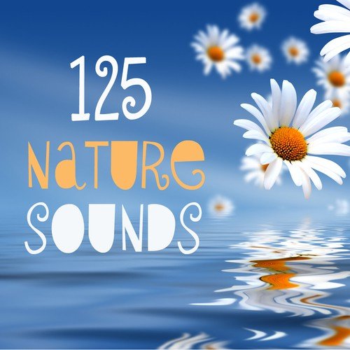 Sounds of Nature for Pure Relaxation,Rest and Sleep