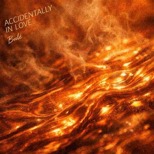 Accidentally In Love (House)