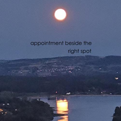 Appointment Beside the Right Spot_poster_image