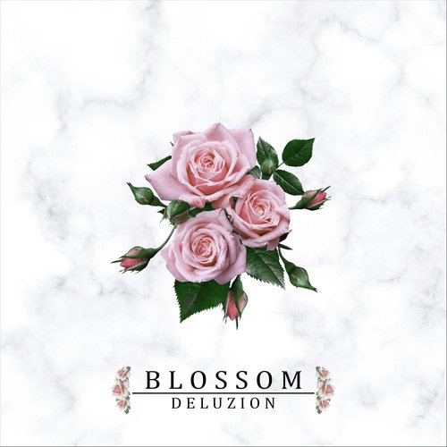 Blossom EP_poster_image