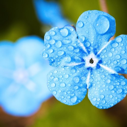 Rain and Thunder cover art