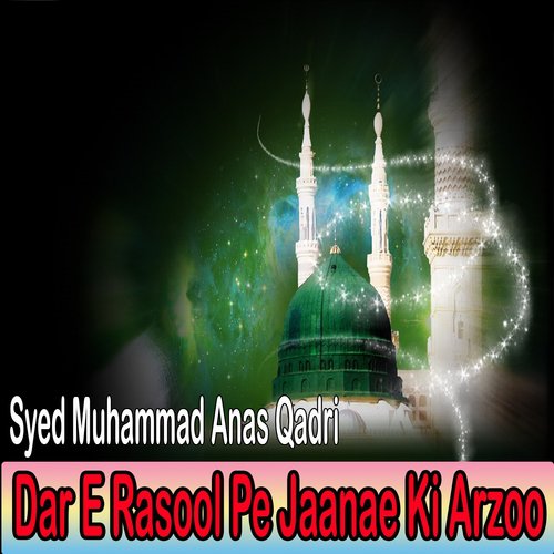 Syed Muhammad Anas Qadri