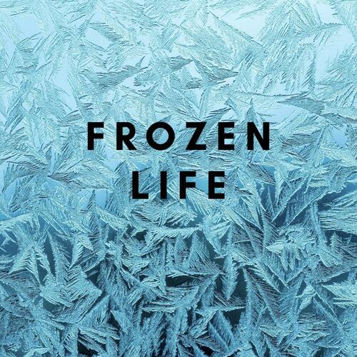 Frozen Life