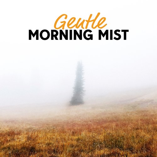 Gentle Morning Mist: Feel Full of Energy and Joy