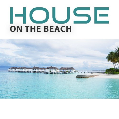 House on the Beach - House Party,  Loud Fun, Best Barman, Strong Drinks, Karaoke, Singing and Dancing