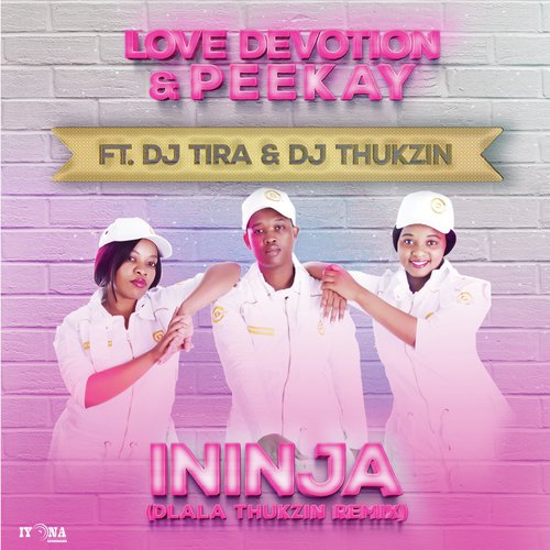 Ininja (Dlala Thukzin Remix)_poster_image