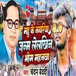 Janm Lelkhin Bhim Mahanma