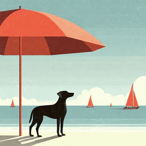 Quiet Coastal Air
