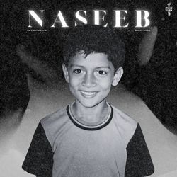 NASEEB-Gi8BYCEGZUU