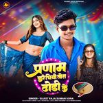 Parnam Kare Chiyo Tora Dhori Ke