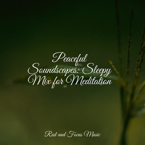 Sleep Soundtrack cover art