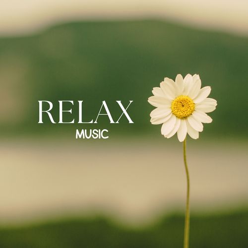 Blissful Beats cover art