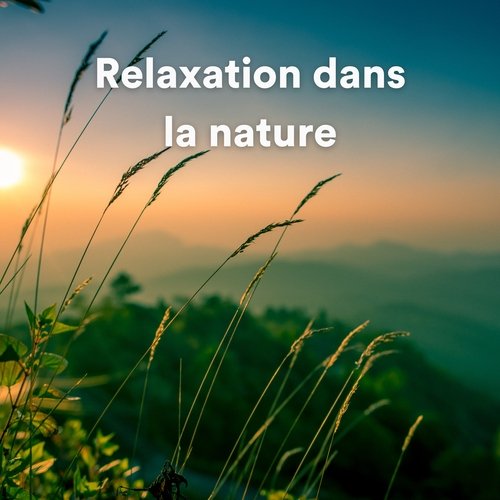 Relaxation dans la nature_poster_image