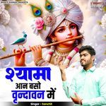 Shyama Aan Baso Vrindawan Mein
