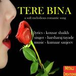 Tere Bina
