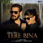 Tere Bina