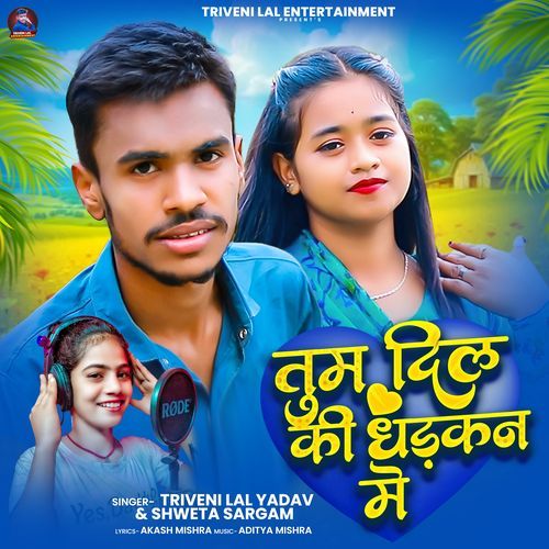 Tum Dil Ke Dharkan Me