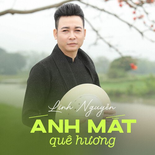 Ánh Mắt Quê Hương cover art