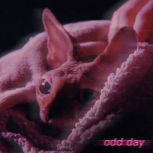 odd day