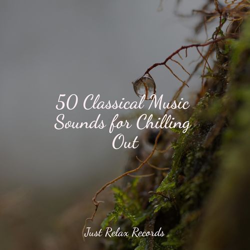 50 Classical Music Sounds for Chilling Out_poster_image