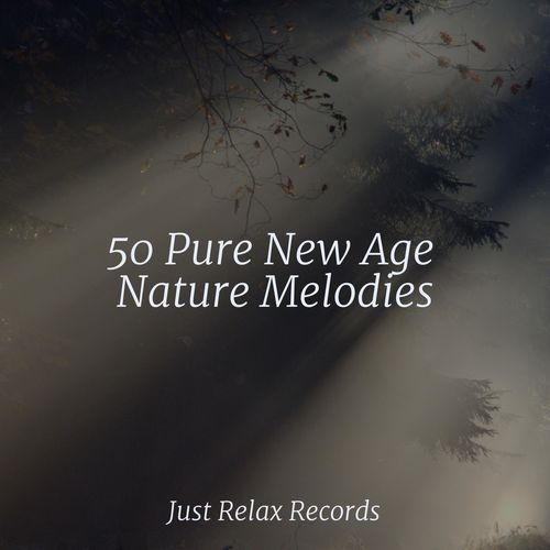 50 Pure New Age Nature Melodies