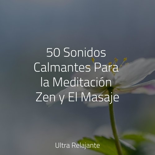 50 Sonidos Calmantes Para la Meditación Zen y El Masaje