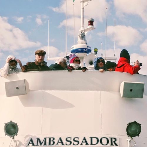Ambassador cover art