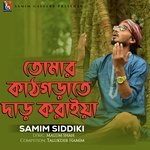 তোমার কাঠগড়াতে দাড় করাইয়া
