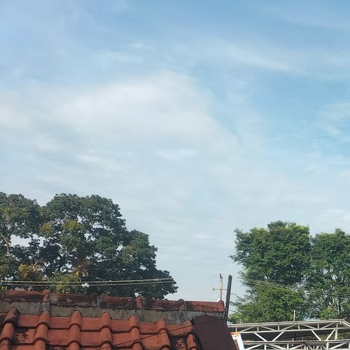 Bagaikan kumbang
