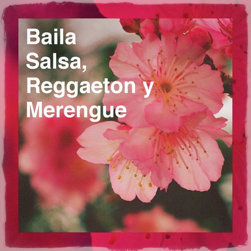 Baila Salsa, Reggaeton y Merengue