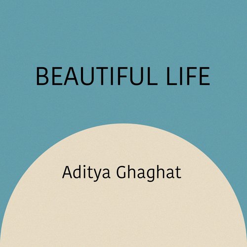 Beautiful Life_poster_image