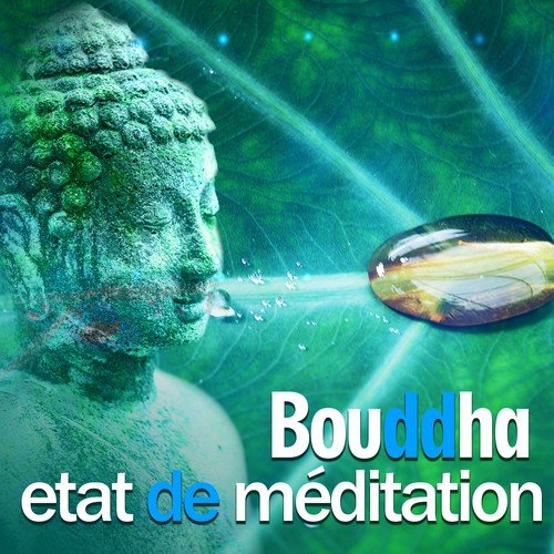Buddhist méditation académie