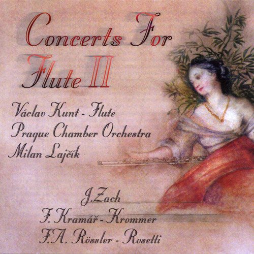 Concert For Flute and Orchestra in D Major, C17/III:16: I. Allegro assai