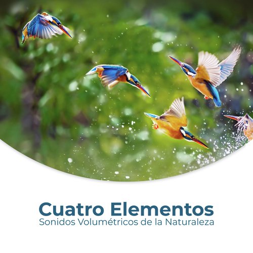 Grillos Nocturnos cover art