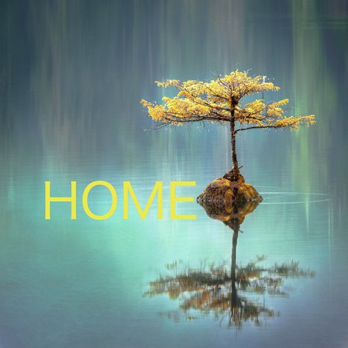 Home_poster_image