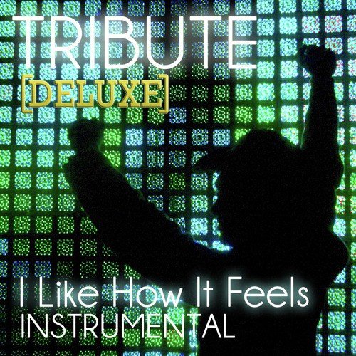 I Like How It Feels (Enrique Iglesias feat. Pitbull & The WAV.s Tribute) - Deluxe Single