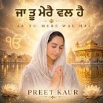 Ja Tu Mere Wal Hai