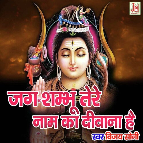 Jag Shambhu Tere Naam Ka Diwana Hai cover art