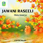 Jawani Raseeli