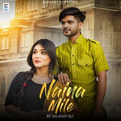 Naina Mile-CAwKZjxbfn4