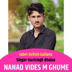 Nanad Vides M Ghume
