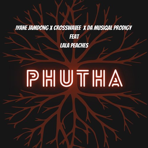 Phutha (feat. Lala Peaches)_poster_image