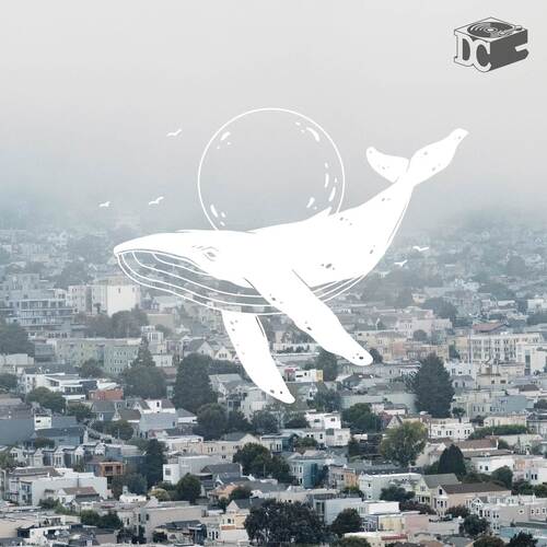 3 AM cover art