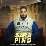 Sara Pind artwork