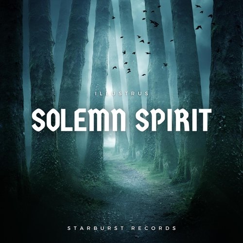 Solemn Spirit cover art