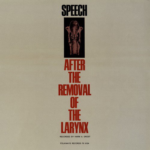 Speech after the Removal of the Larynx_poster_image