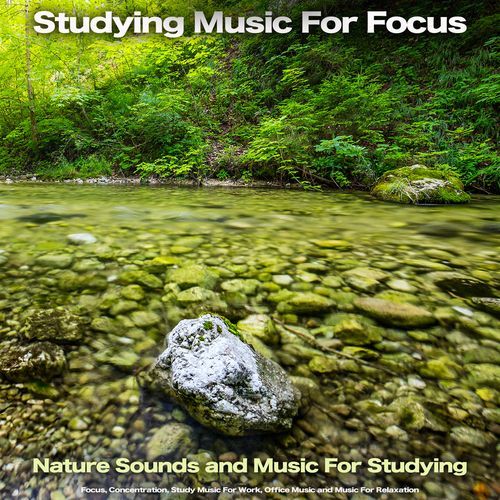 Relaxing Music For Focus and Concentration