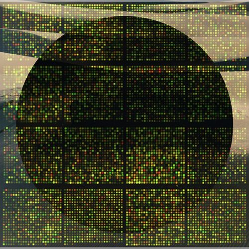 Sure cover art