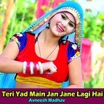 Teri Yad Main Jan Jane Lagi Hai